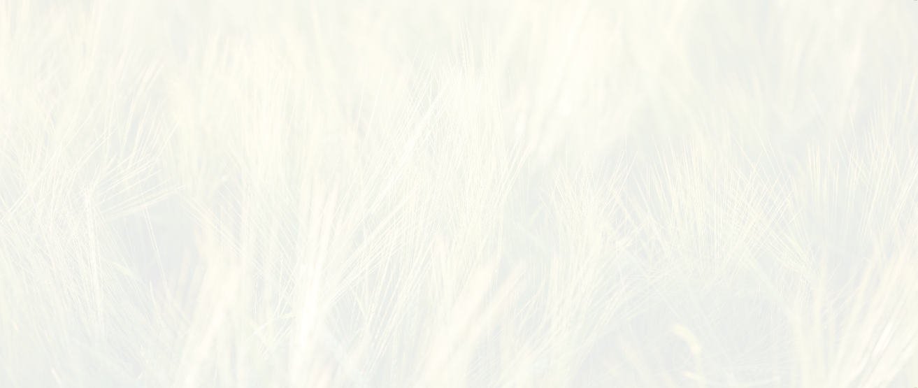 Kapcsolat blokk design háttere