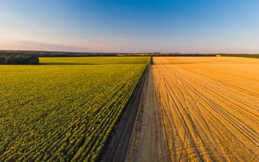 A fenntartható mezőgazdaság szerepe