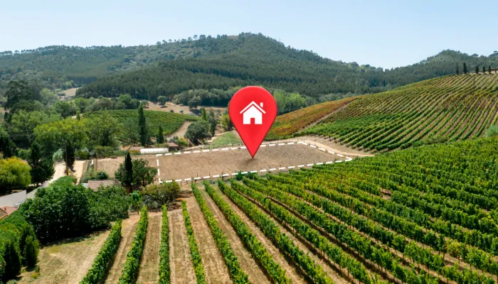 Műszaki támogatás és szakértés - Vad Projektmenedzsment Kft.