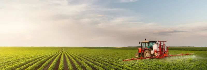 Vad Projektmenedzsment Kft. - Lapozó 0